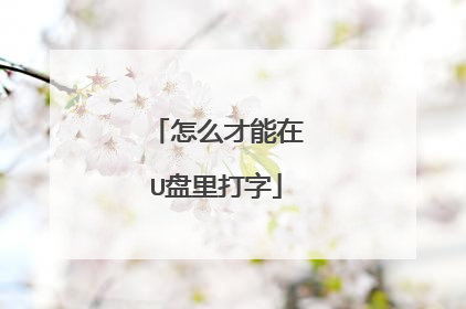 怎么才能在U盘里打字