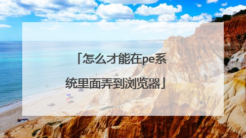 怎么才能在pe系统里面弄到浏览器