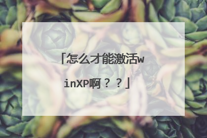 怎么才能激活winXP啊??