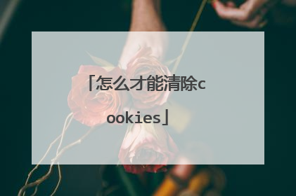 怎么才能清除cookies