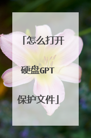 怎么打开硬盘GPT保护文件