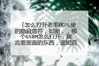 怎么打开老毛桃PE里的隐藏盘符,如图,,那个658M怎么打开,我需要里面的东西,谁知道怎么打开,不