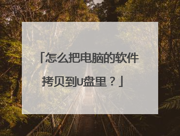 怎么把电脑的软件拷贝到U盘里?