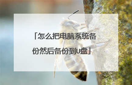 怎么把电脑系统备份然后备份到U盘