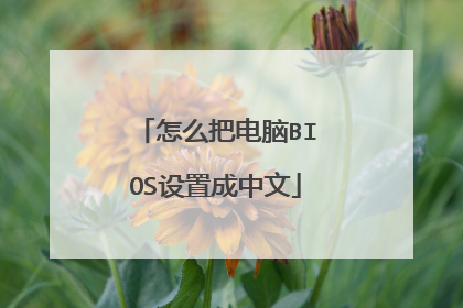 怎么把电脑BIOS设置成中文