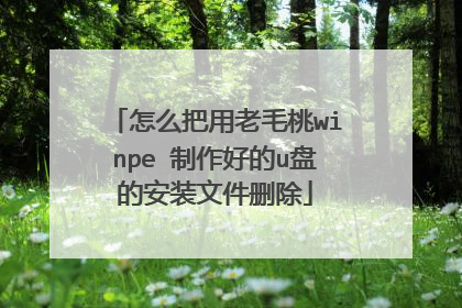 怎么把用老毛桃winpe 制作好的u盘的安装文件删除