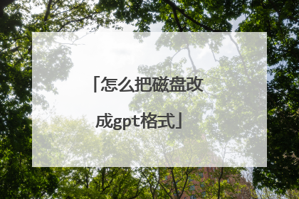 怎么把磁盘改成gpt格式