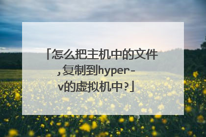 怎么把主机中的文件,复制到hyper-v的虚拟机中?