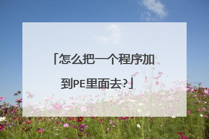怎么把一个程序加到PE里面去?