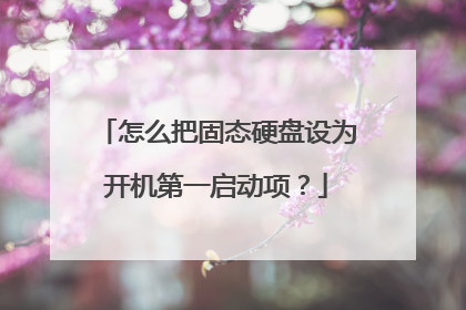 怎么把固态硬盘设为开机第一启动项?