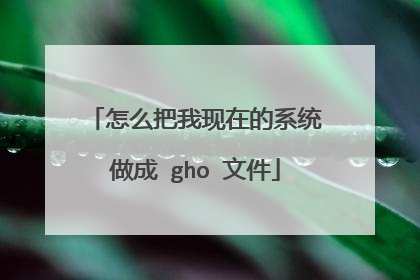 怎么把我现在的系统做成 gho 文件
