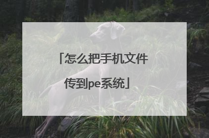 怎么把手机文件传到pe系统