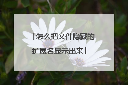 怎么把文件隐藏的扩展名显示出来