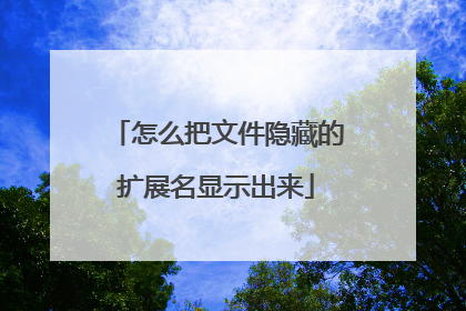 怎么把文件隐藏的扩展名显示出来
