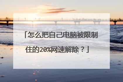 怎么把自己电脑被限制住的20%网速解除?