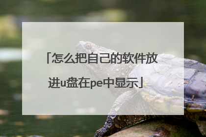 怎么把自己的软件放进u盘在pe中显示