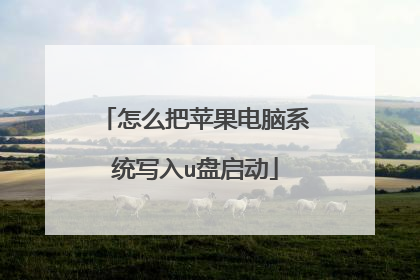 怎么把苹果电脑系统写入u盘启动