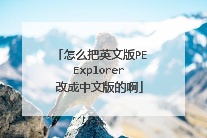 怎么把英文版PE Explorer 改成中文版的啊