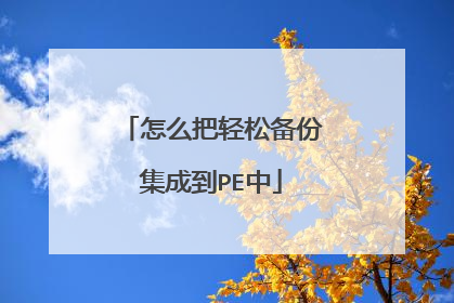 怎么把轻松备份集成到PE中