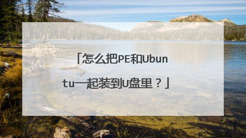 怎么把PE和Ubuntu一起装到U盘里？