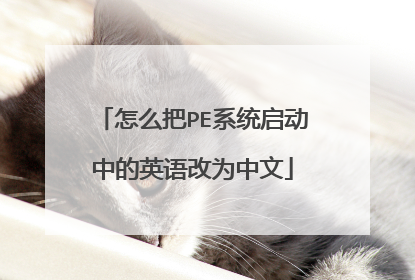 怎么把PE系统启动中的英语改为中文