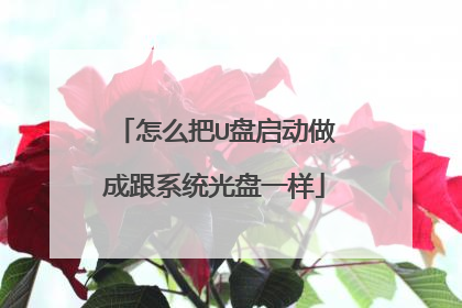 怎么把U盘启动做成跟系统光盘一样
