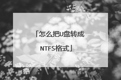 怎么把U盘转成NTFS格式