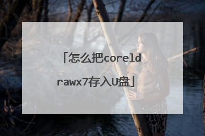 怎么把coreldrawx7存入U盘