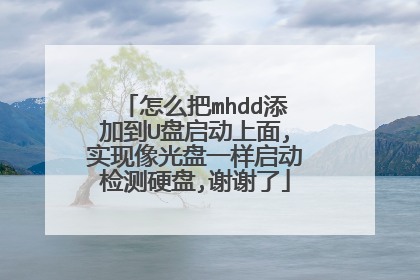 怎么把mhdd添加到U盘启动上面,实现像光盘一样启动检测硬盘,谢谢了