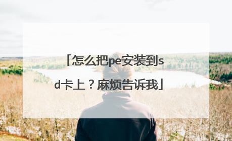 怎么把pe安装到sd卡上?麻烦告诉我