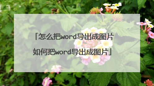 怎么把word导出成图片 如何把word导出成图片
