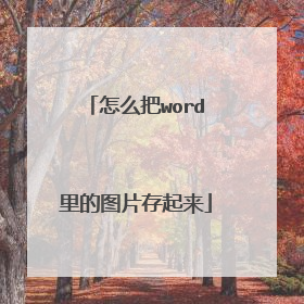 怎么把word里的图片存起来