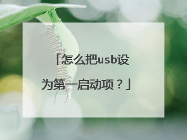 怎么把usb设为第一启动项？