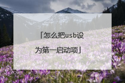 怎么把usb设为第一启动项
