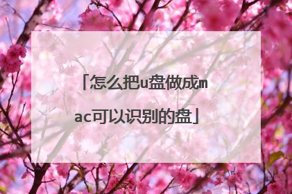 怎么把u盘做成mac可以识别的盘