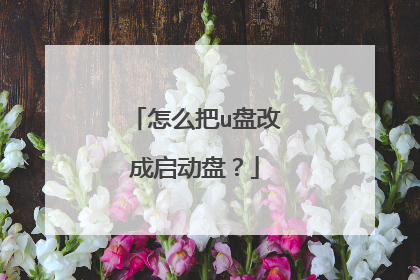 怎么把u盘改成启动盘?