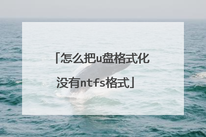怎么把u盘格式化没有ntfs格式