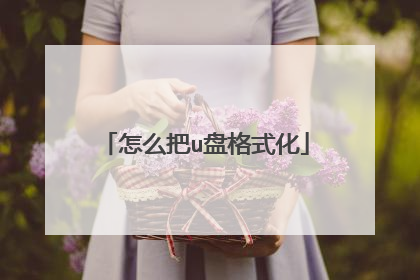 怎么把u盘格式化