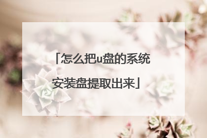 怎么把u盘的系统安装盘提取出来