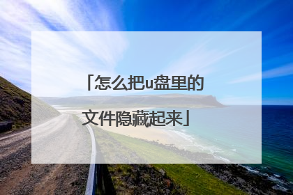 怎么把u盘里的文件隐藏起来