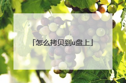 怎么拷贝到u盘上