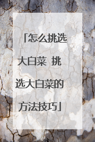 怎么挑选大白菜 挑选大白菜的方法技巧