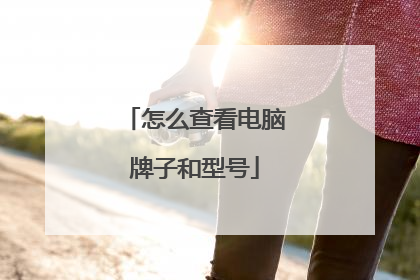 怎么查看电脑牌子和型号