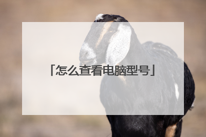 怎么查看电脑型号