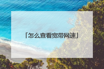 怎么查看宽带网速