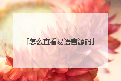 怎么查看易语言源码
