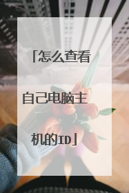 怎么查看自己电脑主机的ID