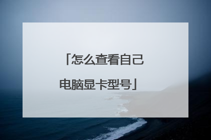 怎么查看自己电脑显卡型号