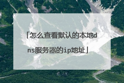 怎么查看默认的本地dns服务器的ip地址