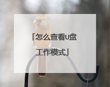 怎么查看U盘 工作模式
